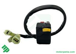 Gruppo comandi (SX) (7)